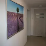 Apartment Lawenda *